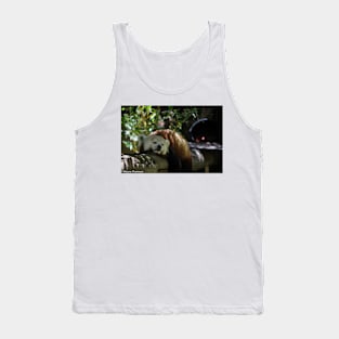 Red Panda Sleeping Tank Top